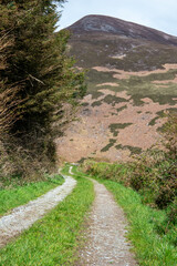 Kerry Camino between Camp and Annascaul