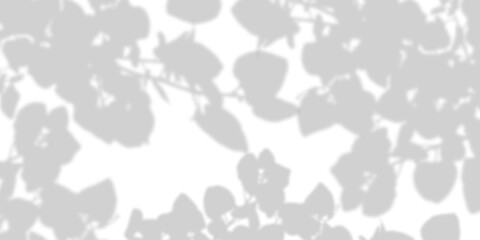 Natural leaves shadow overlay isolated on transparent background. Grey leaves shadow effect....