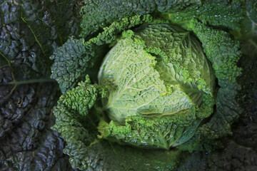 berza verde coliflor encima de una mesa para vender en el mercado pa&iacute;s vasco feria 4M0A1241-as26