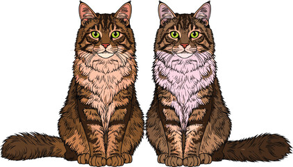 Detailed long haired tabby cat cartoon illustration showing realistic fur texture domestic pet animal design © sahajahan