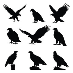Obraz premium Bird silhouettes vector set of flying birds