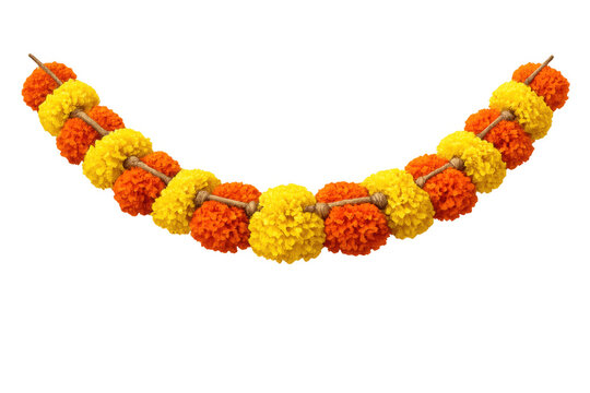 Marigold and orange floral garland, traditional toran decoration for diwali and hindu festivals, transparent background
