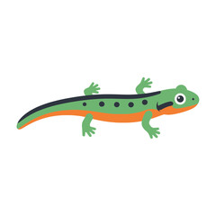 Fototapeta premium Cartoon newt with green back and orange belly on a white background.