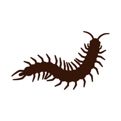 Fototapeta premium Brown centipede silhouette with many legs isolated on white background.