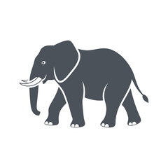 Fototapeta premium A gray elephant with tusks walks on a white background.