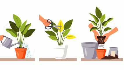 Fototapeta premium Illustrated steps of planting and caring for houseplants, showing watering, pruning, and repotting