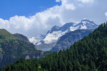 Obraz premium Mountain panorama with summits Castor, Pollux and Breithorn (left to right) and trees near Zermatt in Swiss Alps, canton of Valais, Switzerland
