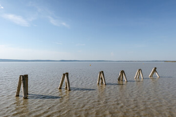 Wooden poles on Neusiedlersee lake near Podersdorf