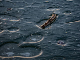 Naklejka premium Eisfläche eines zugefrorenen Sees im Winter