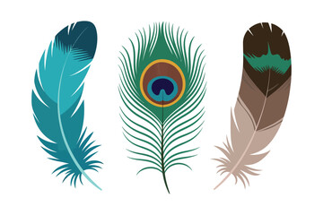Obraz premium Colorful Feather Illustrations in Teal, Green, and Brown on White Background