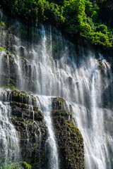 Naklejka premium waterfall in the forest