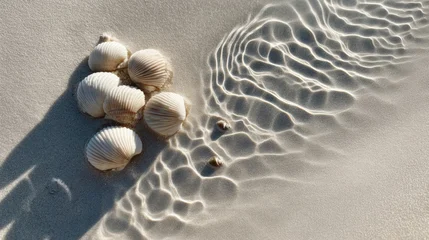 Stickers Ziekenhuis Minimal beach scene with white seashells on sand soft sunlight water ripples calm summer mood nature  © YuliaLyubimova