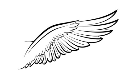 Obraz premium Elegant Angel Wing Illustration Line Art.