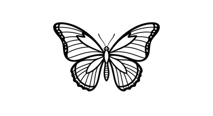 Obraz premium Elegant Black and White Butterfly Illustration.