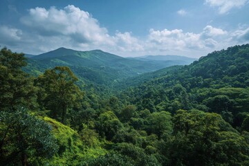 Serene mountain landscape with lush forest and sunlit hills under a blue sky, evoking tranquility and natural beauty for nature lovers and outdoor enthusiasts