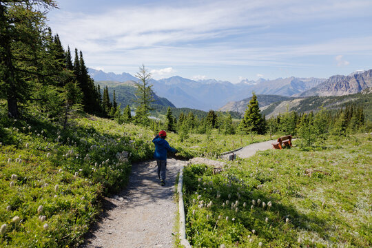 Young boy walking along a mountain trail surrounded by green alpine landscape, pine trees, and distant peaks.