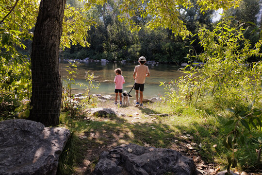 Two young boys and their dog stand by a river in a park in Summer