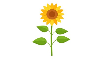 Obraz premium Simple illustration of a sunflower with green leaves, isolated on a white background