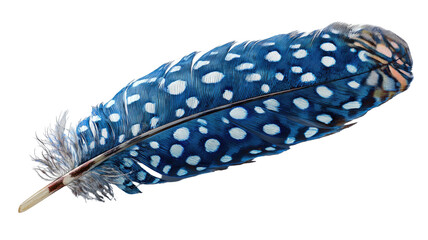 Blue spotted bird feather with detailed texture natural pattern wildlife macro photography isolated on white background