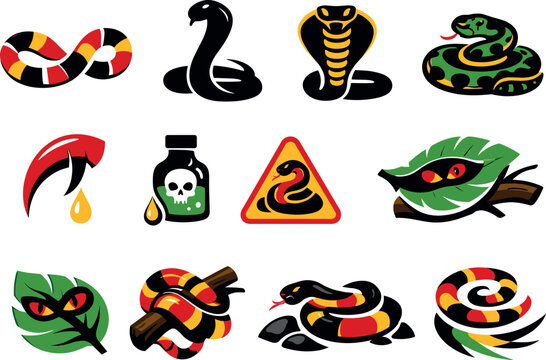 Two-Color vector icons of venomous reptiles: coral snake curve, mamba silhouette, cobra spread hood, pit viper coil, fang outline