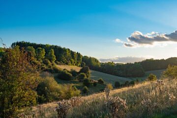 Sun shining in a sunset beautiful landscape in the green fields and meadows in the Cotswolds England