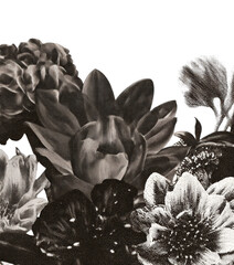 Fototapeta premium PNG Monochrome floral elegance captured beautifully.