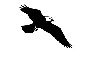 Obraz premium Silhouette of a majestic bird of prey in flight 1.