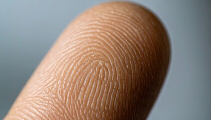 Close-up of a human fingerprint showcasing intricate skin patterns.