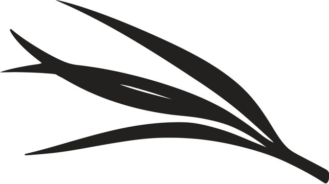 A stylized botanical illustration in black against a white background featuring elongated, curved leaves