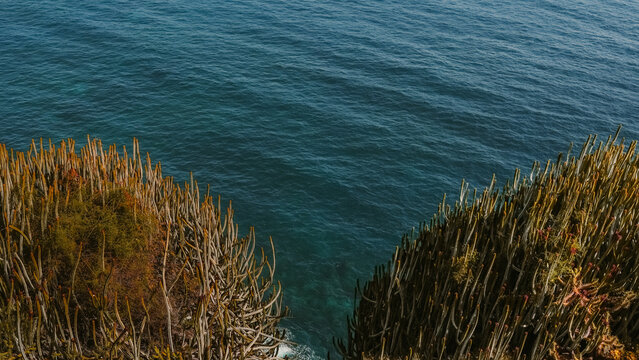 Vista desde el acantilado