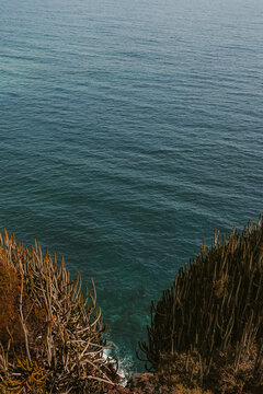 Vista desde el acantilado