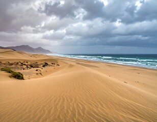 Sandy dunes meet ocean waves beneath a cloudy sky; coastal beauty under dramatic lighting in muted golden and blue hues