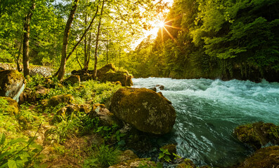 Sunlight filtering through lush green forest over a flowing river with mossy rocks. Creating a peaceful natural landscape, ideal for nature, environment, travel and relaxation concepts.