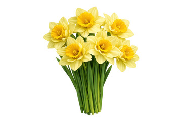 Fototapeta premium Daffodil flowers bouquet representing spring, growth, and nature, with yellow blossoms and green stems on transparent background