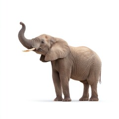 Obraz premium Majestic Elephant with Raised Trunk Standing Gracefully in Natural Habitat Showcasing Its Strength and Beauty