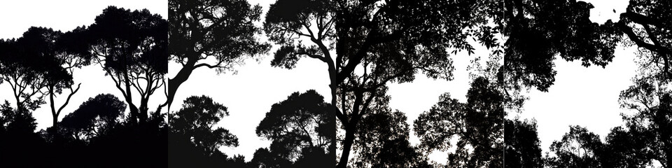 Silhouette of a Twilight Forest Canopy &ndash; A dark shadowy silhouette of a forest canopy at twilight where the last light of the day fades behind the trees. Isolated on Clear White Background Highly Deta