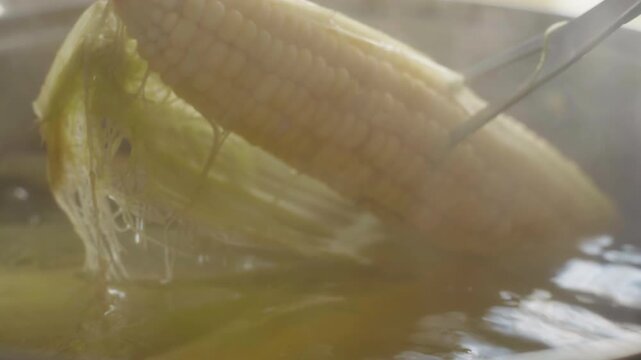 Close-up of corn pricked on a fork boiling in a saucepan to check for readiness
