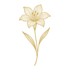 Naklejka premium PNG Elegant gold floral illustration.