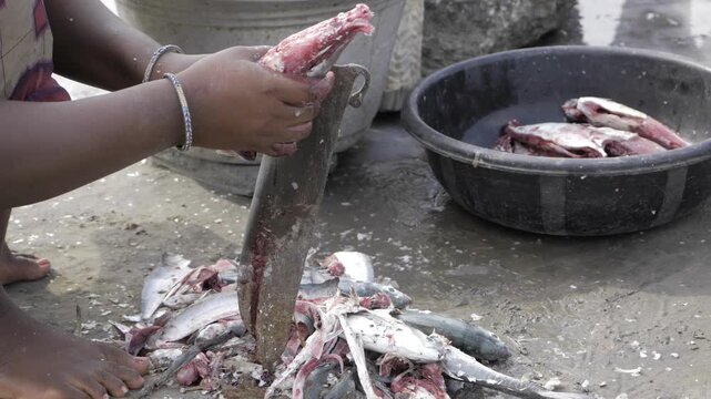 Hand Grip Fish Cleaning  A Closeup of Sustainable Seafood Processing