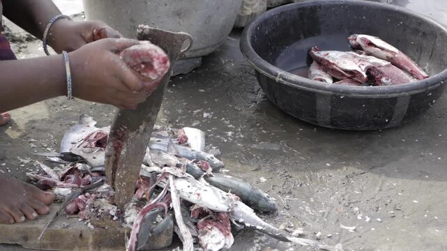 Freshly Prepared Fish for a Delicious Meal