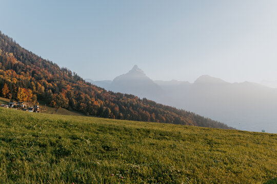 Abendlicht mit helbstlich verf&auml;rbten B&auml;umen in den schweizer Alpen