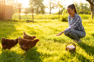 Smiling young female farmer sitting near group of free ranging chickens walking on green grass outdoor at farm © Home-stock