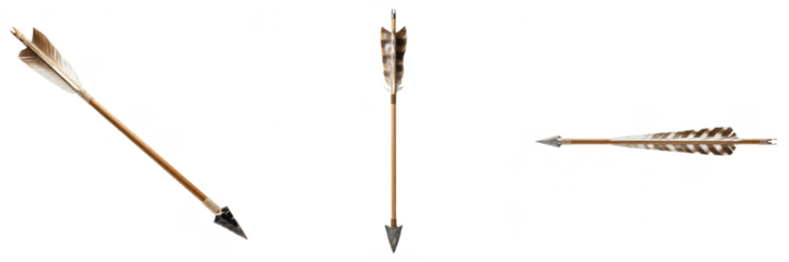 Traditional Wooden Archery Arrows Set with Feathers and Metal Tips:
