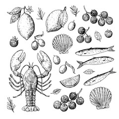 Set of Mediterranean seafood in retro sketchy style. Italian coastal hand drawn monochrome illustration.