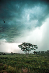Storm clouds, dark clouds, stormy sky, dark sky with clouds, dark clouds, storm coming.