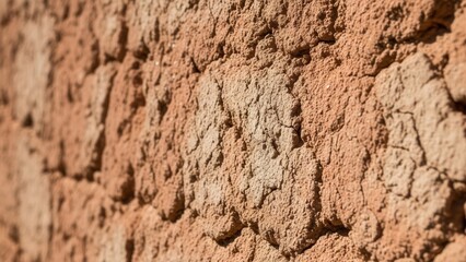 Fototapeta premium Cracked Earth Texture Background Natural Adobe Construction
