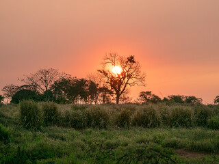 Incredible sunset in the countryside