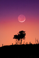 Waning Moon, Sunset with the Moon