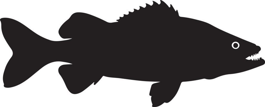 Hydrocynus Vittatus Silhouette on White Background