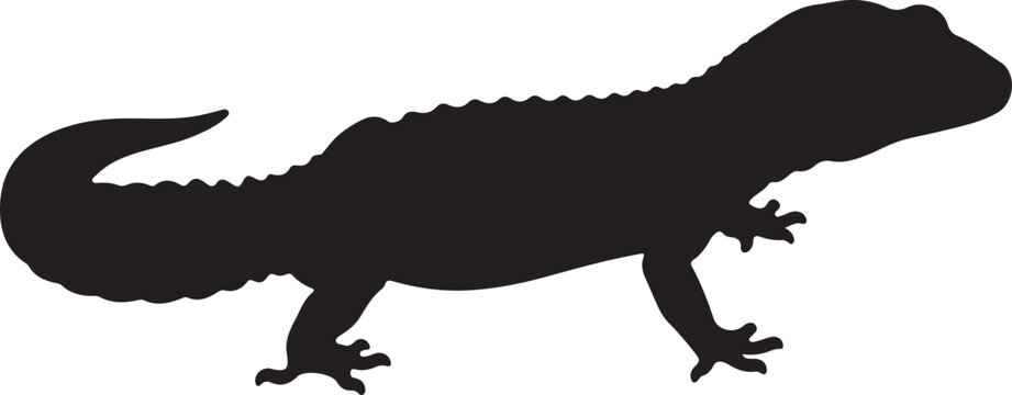Leopard Gecko Silhouette on White Background